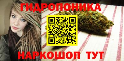 дмт Пенза