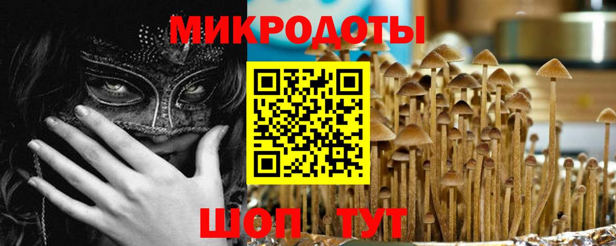 Галлюциногенные грибы прущие грибы Саяногорск